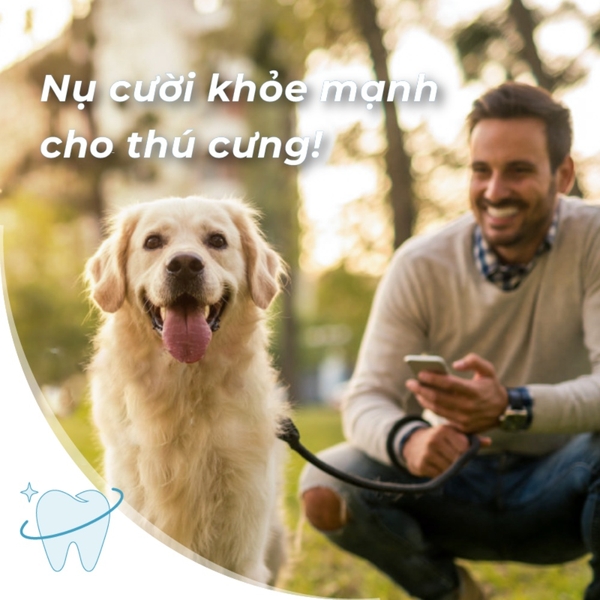 Dung dịch vệ sinh răng miệng cho chó mèo DrVet chai 250 ml