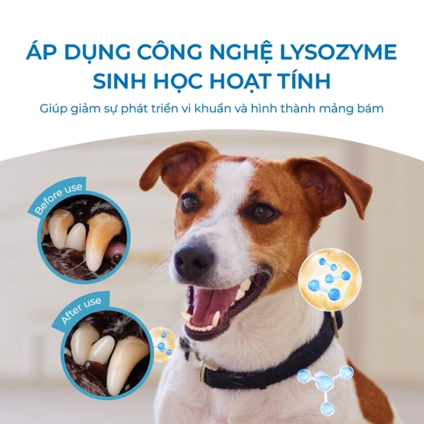 Dung dịch vệ sinh răng miệng cho chó mèo DrVet chai 250 ml