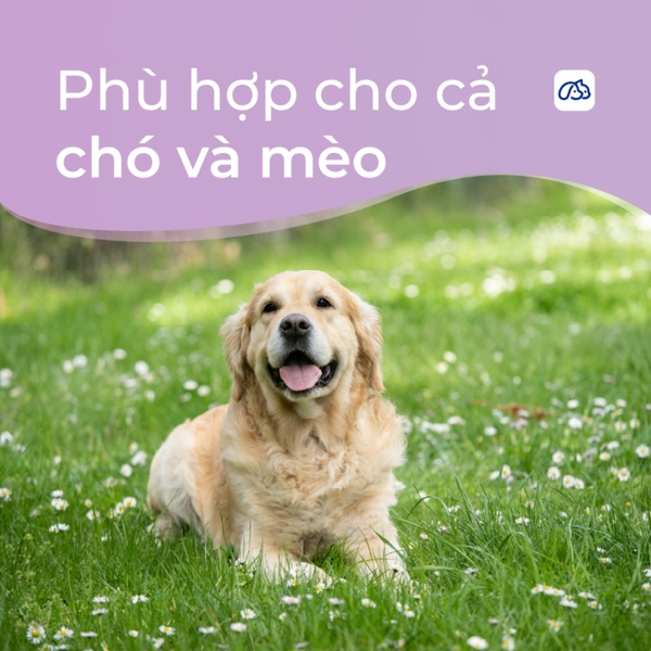 Sữa tắm Chó mèo