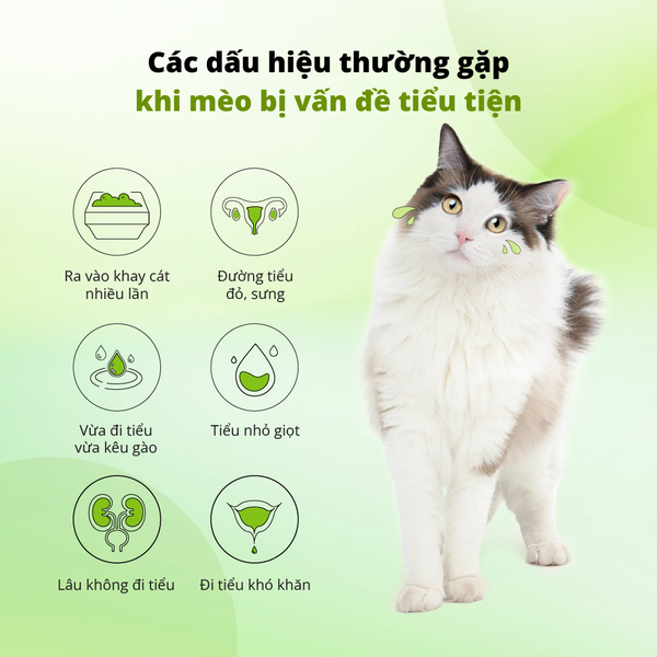 Dr.Vet-Viên hỗ trợ đường tiết niệu-Urinary Tract Support Tablets (30g/Bottle)