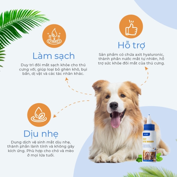 Dung dịch vệ sinh mắt cho chó mèo DrVet chai 60 ml