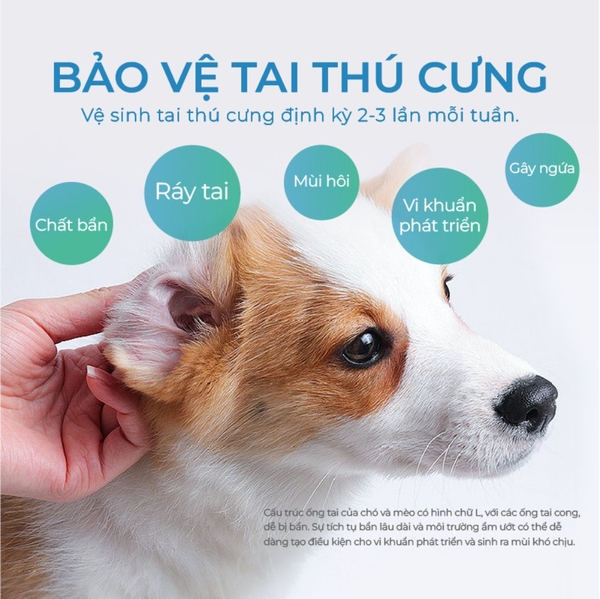 Dung dịch vệ sinh tai cho chó mèo Dr Vet chai 120 ml