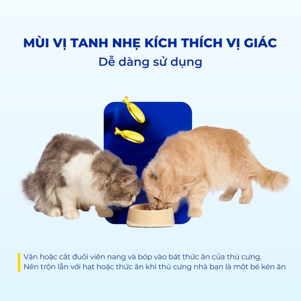 Pure Pet Fish Oil (DHA+EPA≥75%) - Dầu cá
