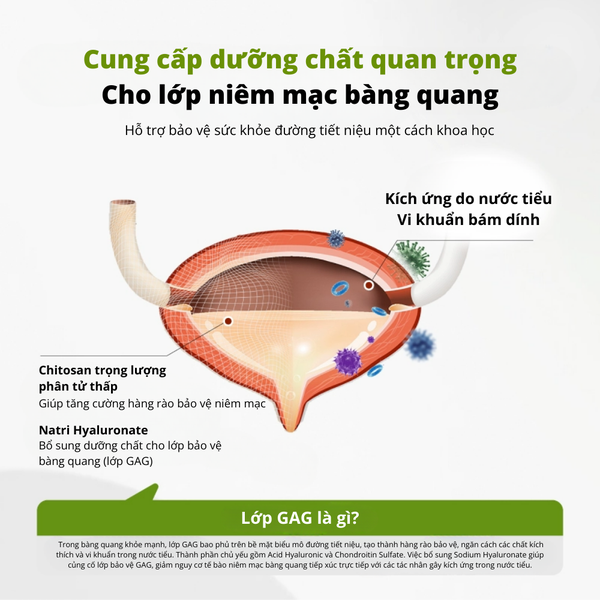 Dr.Vet-Viên hỗ trợ đường tiết niệu-Urinary Tract Support Tablets (30g/Bottle)