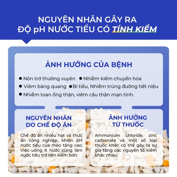 Hạt thử độ pH trong nước tiểu - Insta Test pH