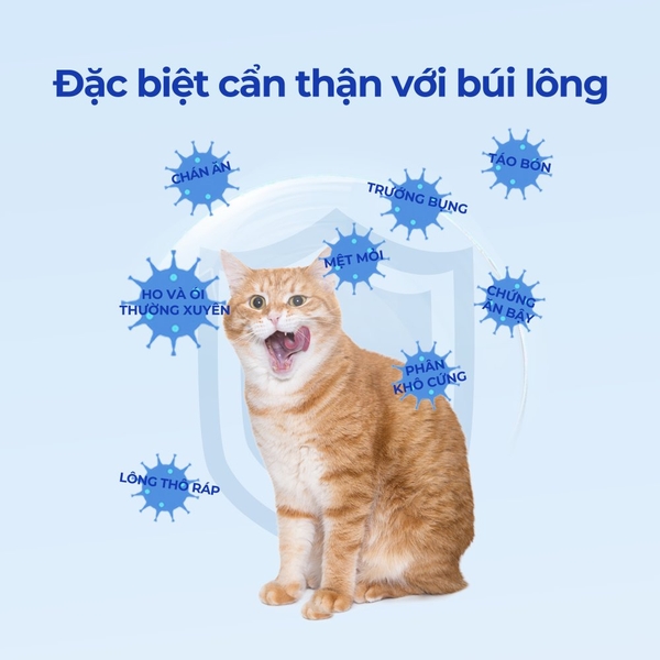 Viên hỗ trợ loại bỏ búi lông cho mèo