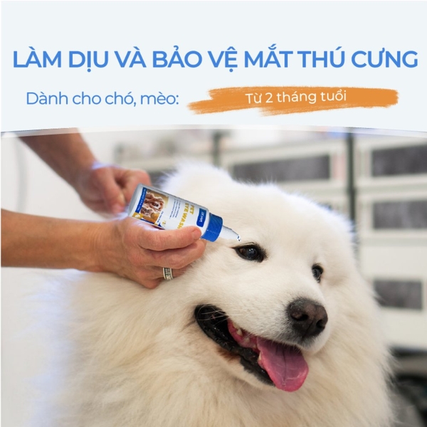 Dung dịch vệ sinh mắt cho chó mèo DrVet chai 60 ml