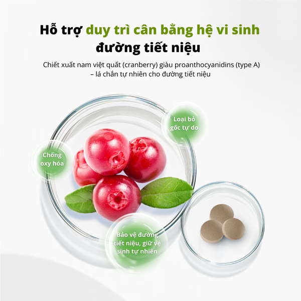 Dr.Vet-Viên hỗ trợ đường tiết niệu-Urinary Tract Support Tablets (30g/Bottle)