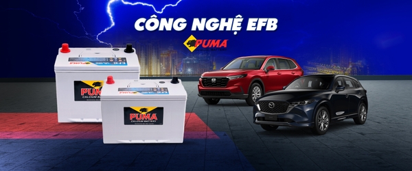 CÔNG TY CỔ PHẦN ẮC QUY THÀNH PHÁT