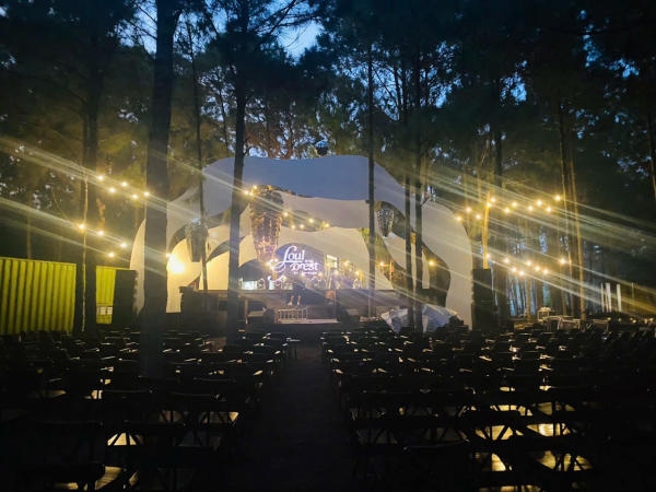 Soul of the Forest – Show âm nhạc giữa rừng thông trở lại