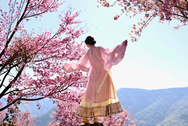 Gợi ý 13 địa điểm hoa anh đào Trung Quốc đẹp nhất xuân này