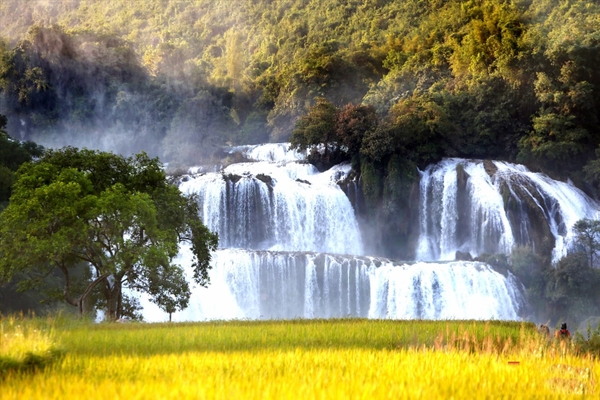 Kinh nghiệm du lịch Cao Bằng 3 ngày 2 đêm tự túc
