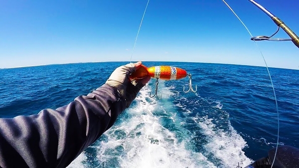 Tour tham quan biển đảo khi nghỉ dưỡng tại FLC Quy Nhơn