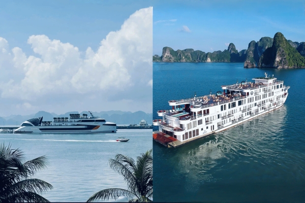 So sánh du thuyền Dolphin và Ambassador Day Cruise chi tiết