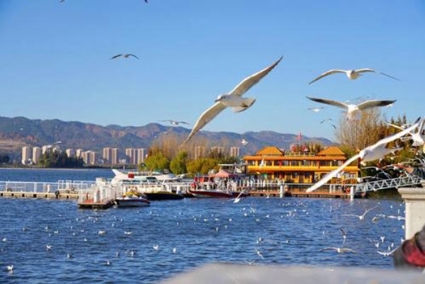 Côn Minh có gì đẹp? Cẩm nang du lịch như thổ địa Trung Quốc