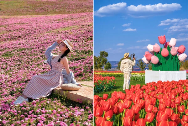 Checkin công viên hồ Thái Bình Di Lặc – biển hoa đẹp ngất ngây