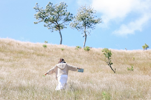 Top 8 điểm check in không thể bỏ lỡ ở thành phố hoa Đà Lạt