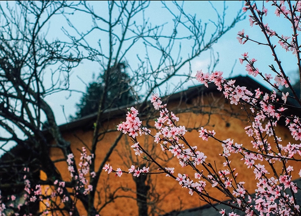 Top 5 địa điểm du lịch lý tưởng cho thời tiết tháng 3