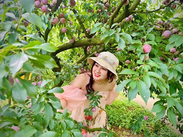 5 Địa điểm du lịch lý tưởng cho mùa du lịch tháng 4