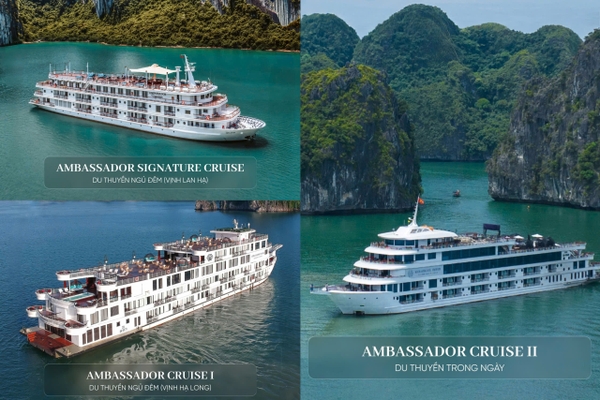 Du thuyền Ambassador có mấy loại? So sánh các loại chi tiết