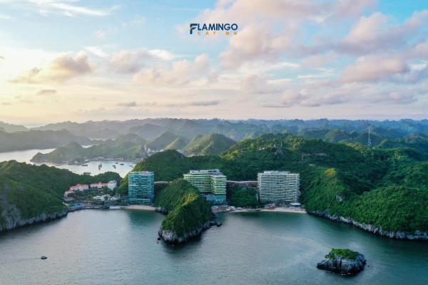 Review Flamingo Cát Bà Tất Tần Tật – Kinh Nghiệm Nghỉ Dưỡng Hè Cát Bà