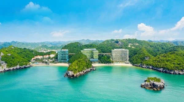 Tổng hợp ưu đãi Flamingo Đại Lải – Cát Bà – Hải Tiến 2025