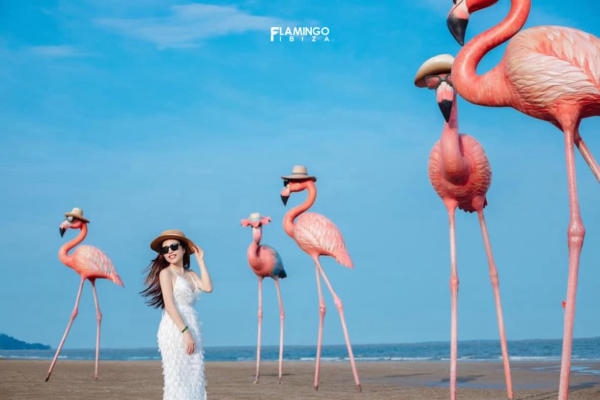 Các điểm check in đẹp ở Hải Tiến, Thanh Hóa