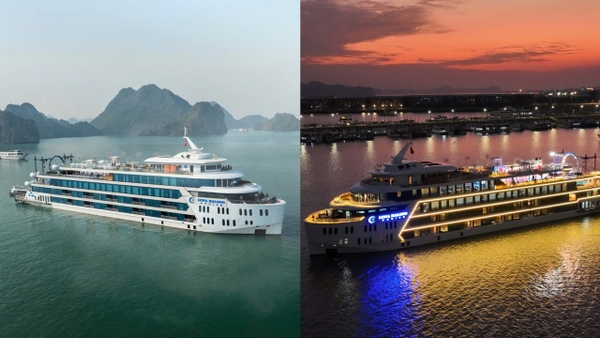So sánh Du thuyền Luna Day Cruise và Dinner Cruise: Chọn lịch trình nào?