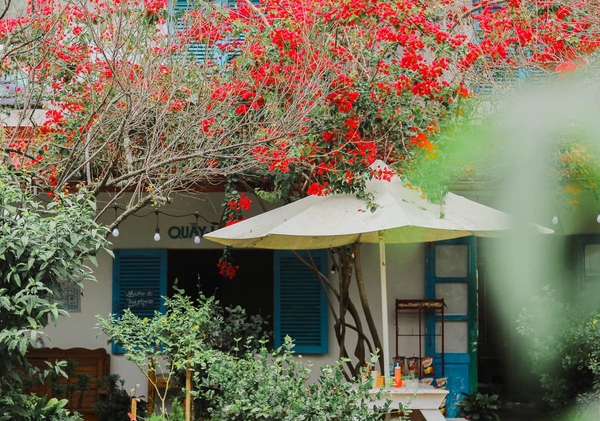 Những homestay vừa xinh vừa thơ tại Mộc Châu mê mẩn du khách