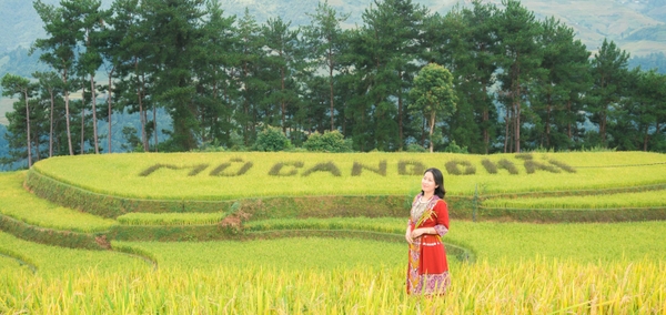 Review Mù Cang Chải mùa lúa chín