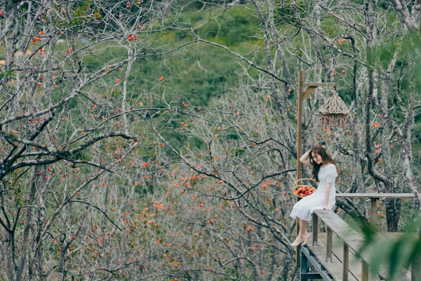 Top 10 địa điểm sống ảo siêu đẹp tại Đà Lạt gây sốt giới trẻ GenZ