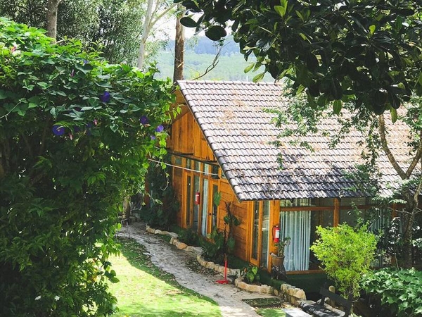 Top 10+ homestay Đà Lạt view đẹp nhất cho team mê sống ảo
