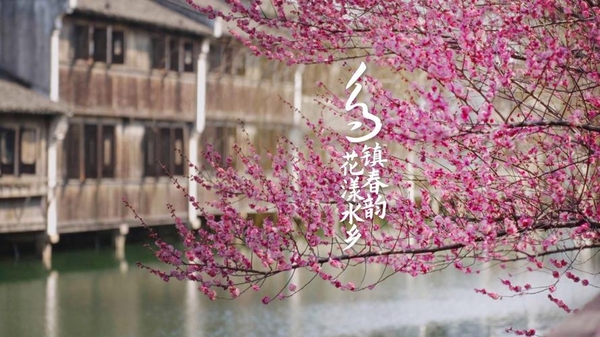 Ô Trấn mùa xuân – Trải nghiệm trọn vẹn cổ trấn đẹp nhất Trung Quốc