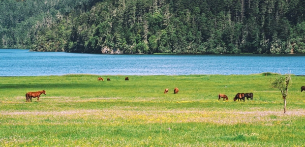 Công viên Potatso – Thiên đường sinh thái giữa lòng ShangriLa