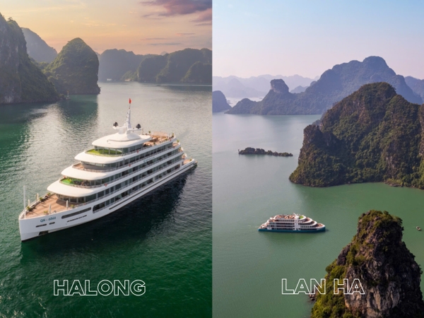 So sánh du thuyền Hạ Long và du thuyền Lan Hạ: Chọn điểm đến nào?