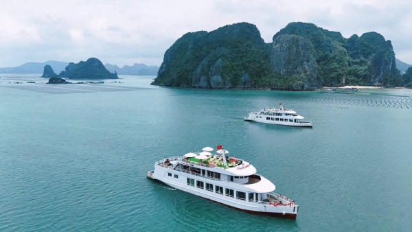 Tàu thăm vịnh Bái Tử Long: Trải nghiệm mới mẻ cho tour Vân Đồn trong ngày