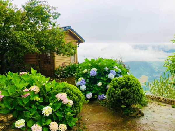 Top 10 homestay view đẹp tại Sapa khiến du khách mê mẩn