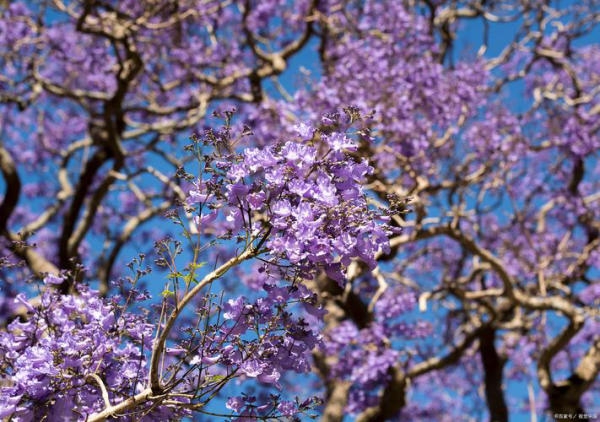 Đặc điểm thời tiết Côn Minh tháng 4 và lưu ý khi đi du lịch