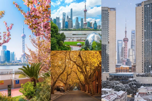 Thời tiết Thượng Hải – Cập nhật chi tiết 4 mùa và kinh nghiệm thực tế