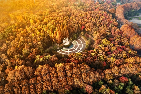 TOP 10+ địa điểm check in mùa thu đẹp nhất tại Nam Kinh