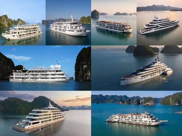 TOP 8 du thuyền Hạ Long 2 ngày 1 đêm xịn - đẹp giá tốt nhất tại Elite Tour