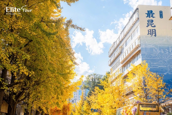 TOP 10+ điểm check in Côn Minh mùa thu HOT nhất