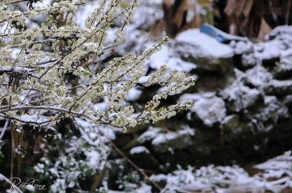 Những Địa Điểm Du Lịch Mùa Đông Ở Việt Nam