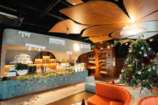 Premium Lounge - Dolphin Halong Cruise