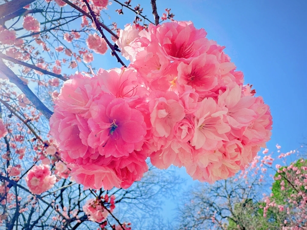 Viên Thông Sơn Côn Minh