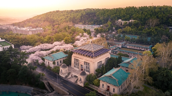 Đại học Vũ Hán mùa hoa anh đào