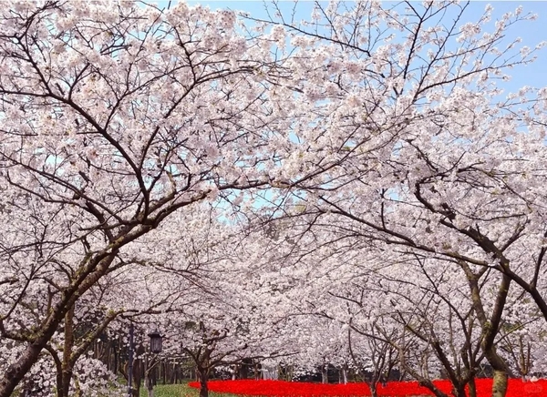 Vịnh Thái Tử Hàng Châu