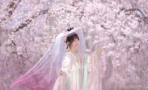 Tour ngắm hoa anh đào Trung Quốc