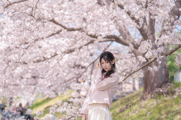 mẹo chụp ảnh hoa anh đào đẹp