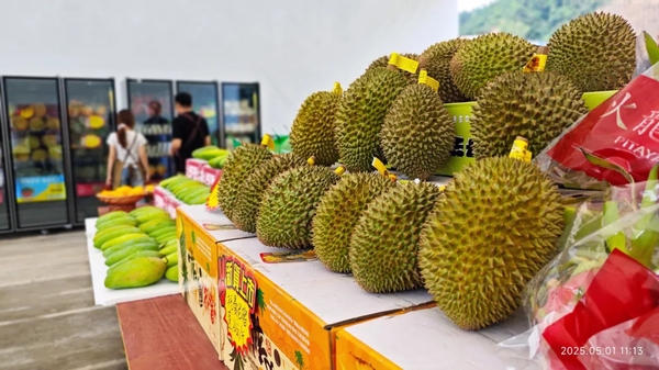 du lịch Bằng Tường